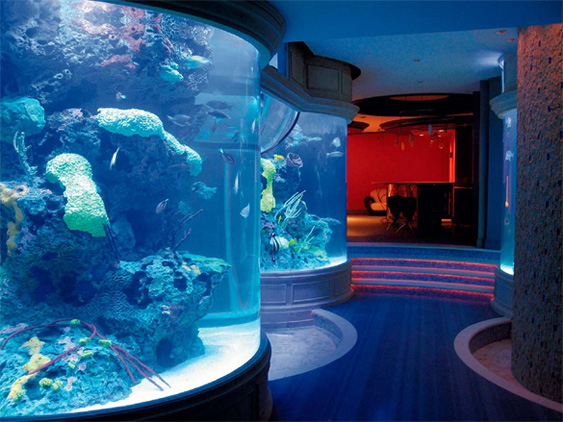 Concrete Aquarium