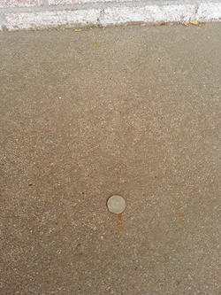Concrete with uneven exposed aggregate surface