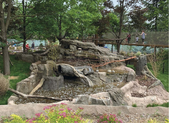 For this project, Beyond Vertical Concrete teamed up with Michigan Shotcrete Construction to refurbish the red panda exhibit for the Detroit Zoo. The rock formation with its aesthetic shotcrete veneer and faux bois accents houses a pump house. The exhibit opened in late 2018.