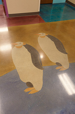 Polished Concrete and Colored Concrete Projects